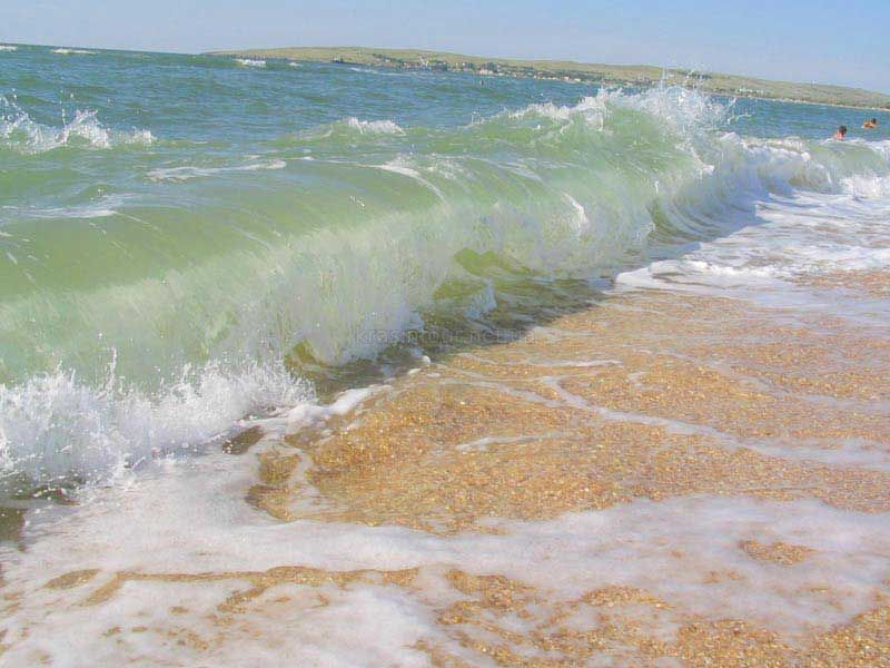 Дары Азовского моря