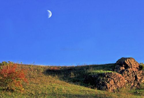 ландшафтный заповедник балка Красная Червонная